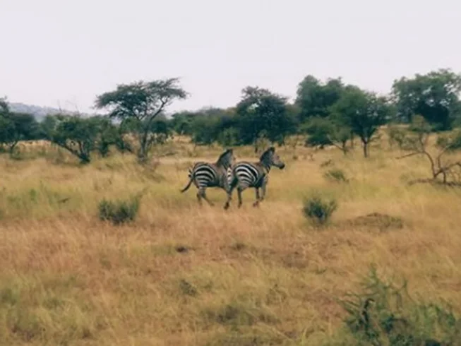 8 Day Guided Motorcycle Tour in Rwanda photo 5
