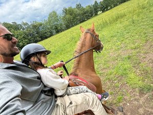 3 Day Star Trail Horse Riding Holiday in Moravica, Serbia
