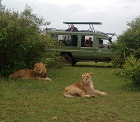 10 Tage Erstaunliches Abenteuer Private Safari in Kenia - Photo 4