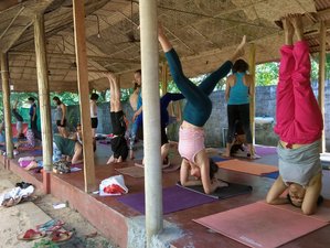 4 Day Zen Meditation and Yoga Retreat in Alleppey, Kerala, India