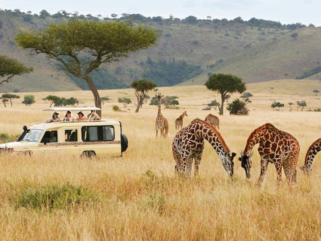 book safari from zanzibar