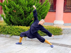Self-Paced Online Meihua Quan, Health, and Juventology Training