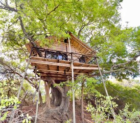 34-Daagse Lodge- en Boomhut-Safari in Balule Nature Reserve en Kruger National Park, Zuid-Afrika - Photo 1