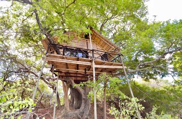 4 días de safari en lodge y casa en el árbol en la Reserva Natural de Balule y el Parque Nacional Kruger, Sudáfrica