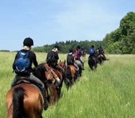 3 jours en stage d’équitation au cœur des montagnes centrales de Bohême, Litoměřice, République tchèque - Photo 2