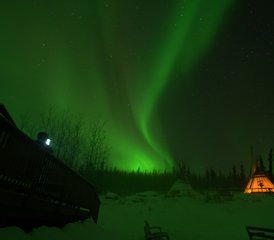 4 Tage Aurora-Beobachtung und Tierwelt und heiße Quellen Retreat in Yukon, Kanada - Photo 3