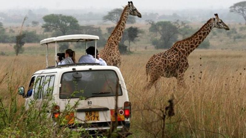 6 Days Samburu, L.Nakuru, Masai Mara Big 5 Safari in Kenya