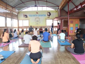 28 Day 200-Hour Ashtanga and Hatha Yoga Teacher Training in Mysore, India