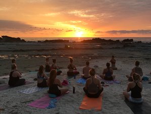 21 jours-200 heures de formation de professeur de yoga Pura Vida à Mal Pais, Puntarenas