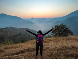 5 Day Yoga and Capital Sightseeing Retreat in Rishikesh