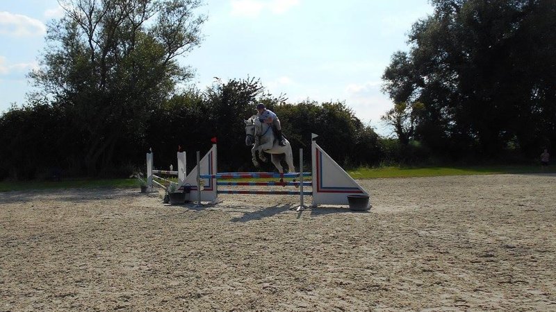 6 Day Kids' and Teens' Horse Riding Camp (6 to 16 Years) in Liège, Belgium