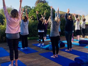 4 Day Yoga Retreat in Stunning Dorset Countryside, UK