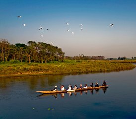 3 jours circuit faune de luxe à Chitwan, Népal - Photo 4
