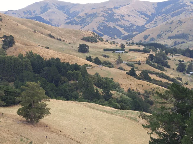 18 Days Self-Guided Weka Trails Motorcycle Tour in South Island, New Zealand photo 6