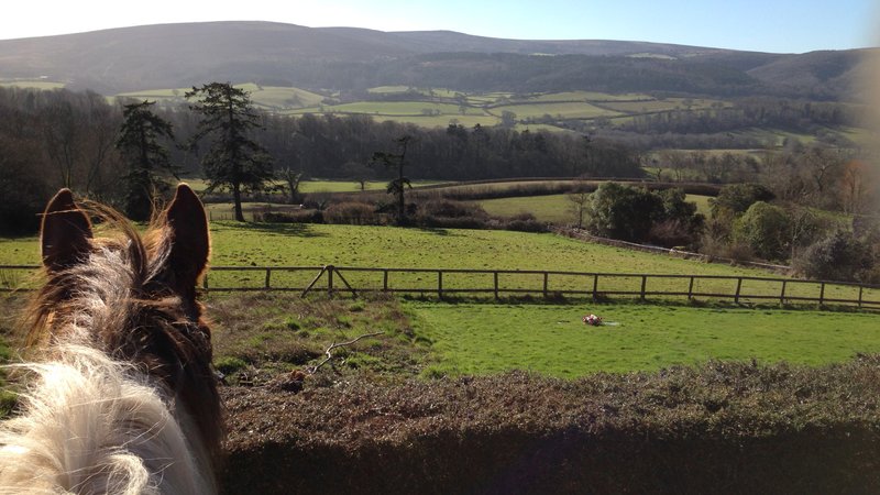 4 Days Fantastic Horse Riding Holiday in Exmoor National Park, UK