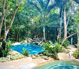 5 jours - 2 séances intensives d'ayahuasca, Bufo, Kambo et Temazcal à Cancún, au Mexique - Photo 2