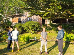 6 Day Embody 5 Elements within Nature: Retreat in Chiang Mai, Thailand