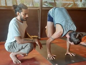 8 Day Ashtanga Yoga Retreat in Kerala, India: Introduction to Ashtanga Primary Program