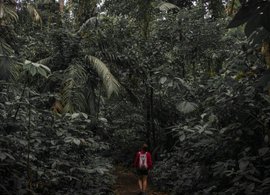 El Castillo Retreats & Trips