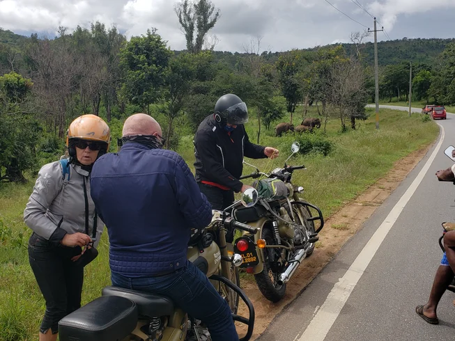 13 Day South India Motorcycle Tour from Kochi to Kochi photo 2