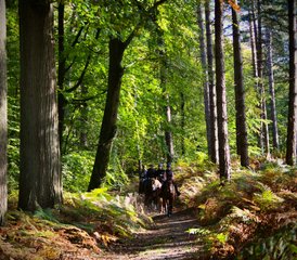 4 Day Horse Riding Holiday in the Heart of the Chantilly Region, France - Photo 5