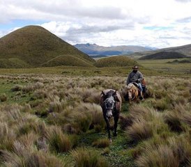 8 jours de vacances équestres au volcan Cotopaxi, Équateur - Photo 4