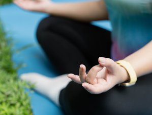 Journée D’été De Yoga Et Journaling Sans Hébergement À Breda, Pays-Bas