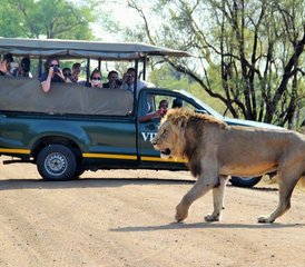 64-Daagse Klassieke Safari in Balule Natuurreservaat en Kruger National Park, Zuid-Afrika - Photo 1