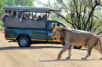 4 días de safari clásico en la Reserva Natural de Balule y el Parque Nacional Kruger, Sudáfrica