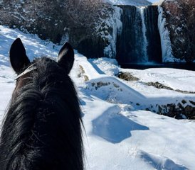 3 Day Guided Horse Riding Holiday in Korçë: Escape to the Albanian Countryside - Photo 3