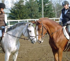 14 Day Summer Horse Riding and French Camp for Teens in Quebec City - Photo 2