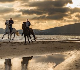 8 jours en stage de cuisine grecque et d’équitation à Zante, îles Ioniennes, Grèce - Photo 3