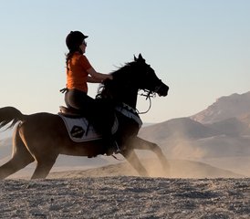 7 Day Yoga and Horse Riding Tour in Egypt - Photo 4