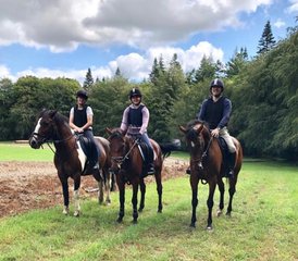 7 Day Luxury Horse Riding Holiday with Cultural and Foodie Experiences in Wicklow, Ireland  - Photo 3