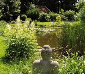 3 jours Stage de Soul Motion et de Yin Yoga libérateur à Steinfurt, Allemagne pour femmes - Photo 5