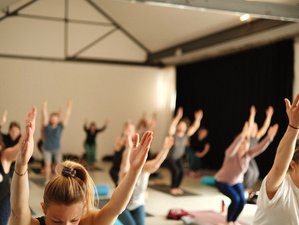 2 Jahre +300 Stunden alle Live Online Stunden Hatha und Vinyasa Yoga Weiterbildung für Yogalehrende