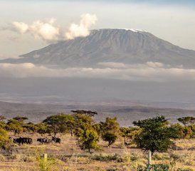 5 días de safari por Tsavo West, Amboseli y Tsavo East en Kenia desde Mombasa o Diani - Photo 4
