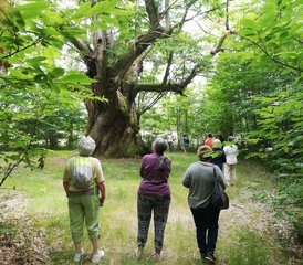 3 Tage Yoga-, Atem- und Meditationskurs in Martillac, nahe Bordeaux, Frankreich - Photo 3