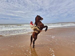 2-Hour Non-Residential Sunset Horse Riding Experience in Sidi Kaouki, Morocco