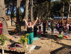 4 días de retiro de yoga y amor propio entre mar y bosque en Isla Negra, Chile