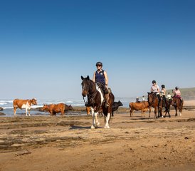 15 jours en stage d’équitation : Échappez à l’ordinaire, reconnectez-vous avec les chevaux sur la Wild Coast, Afrique du Sud - Photo 2