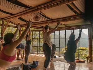 8 Day Transformational Yoga and Ayurveda at Lake Atitlán, Guatemala