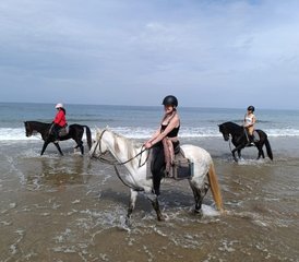 8 Tage All-Inclusive-Aufenthalt mit Reiten und Aquagym in einem Riad Face Océan, Agadir, Marokko - Photo 3