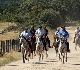 07 Day Gredos to Salamanca Progressive Horse Riding Tour in Spain - Photo 1