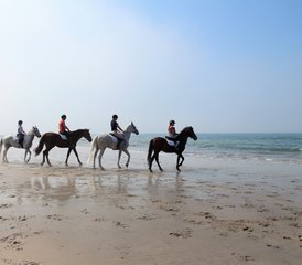 4 Tage Reiturlaub für Reiter der Mittelstufe und Fortgeschrittene in Apúlia e Fão, Portugal - Photo 5
