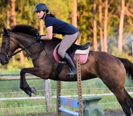 8 Day Adapted Horse Jumping Training (hunter style) with Outdoor Rides in Mimizan, Landes, France - Photo 4