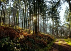 Abergavenny Retreats & Trips