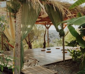 5 Tage Frauen Yoga Retreat auf Kreta, Griechenland - Photo 3