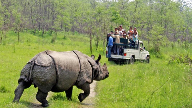 5 Day Thrilling Wildlife Tour in Bardiya National Park, Bheri Zone