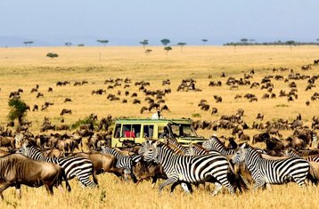 3 Day Private Masai Mara Mid-range Safari: Big Five Adventure in Kenya